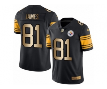 Men's Nike Steelers #81 Jesse James Black Stitched NFL Limited Gold Rush Jersey