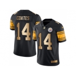 Nike Pittsburgh Steelers #14 Sammie Coates Black Men's Stitched NFL Limited Gold Rush Jersey