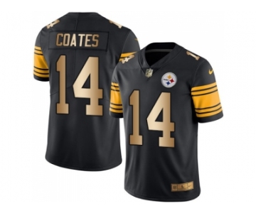 Nike Pittsburgh Steelers #14 Sammie Coates Black Men's Stitched NFL Limited Gold Rush Jersey