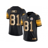 Nike Pittsburgh Steelers #81 Jesse James Black Men Stitched NFL Limited Gold Rush Jersey