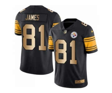 Nike Pittsburgh Steelers #81 Jesse James Black Men Stitched NFL Limited Gold Rush Jersey