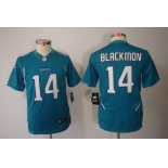 nike youth nfl jerseys jacksonville jaguars #14 justin blackmon green[nike limited]