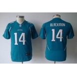 nike youth nfl jerseys jacksonville jaguars #14 justin blackmon green[nike]