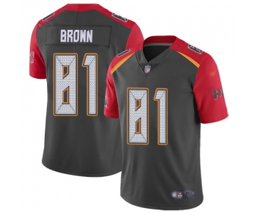 Nike Buccaneers #81 Antonio Brown Gray Men's Stitched NFL Limited Inverted Legend Jersey