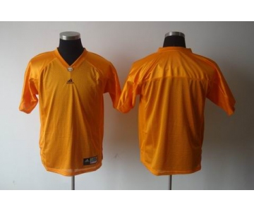 ncaa (tennessee) blank orange